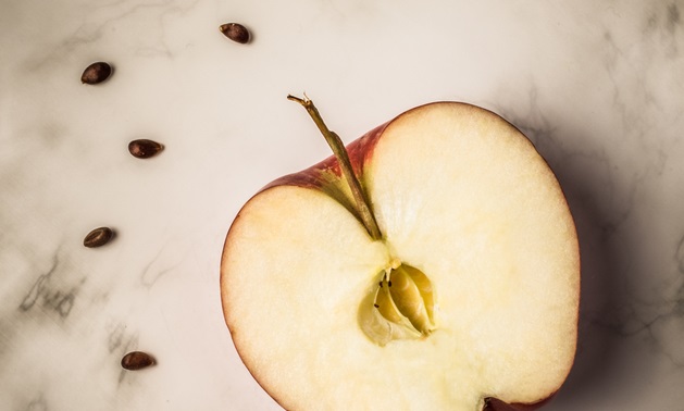 Quais as sementes de frutas podem ser prejudiciais se consumidas em grandes quantidades?