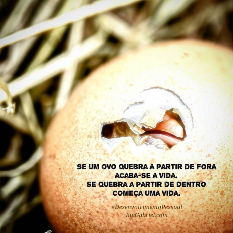 Se um ovo quebra a partir de fora, acaba-se a vida. Se quebra a partir de dentro, começa uma vida.